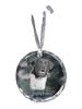 Stabyhoun, Stabijhoun, Fryske Stabij - Crystal Bauble with a Photo, Dog Photo In Crystal, Personalized Christmas Tree Ornament by Brand