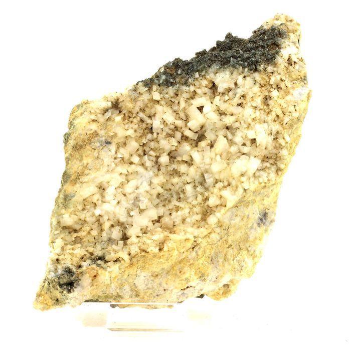 Pierres et Minéraux. Adulaire. 4216.0 ct. Lucendro, Ticino, Suisse.