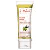 Jiva Olive Cream 100gm Pack Of 1 | Ayurvedic Face Cream For Skin Hydration, Anti-Aging, Wrinkle Reduction, And Collagen Boost