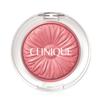 Cheek Pop Blusher Pink Pop Blush Cool Tone Summer Cool