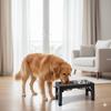 Elevated Dog Feeder Bowls Adjustable Raised Stand with Double Stainless Steel Food Water Bowls Small Medium Large Dogs