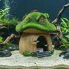 Pești și animale marine – Decorul acvariului