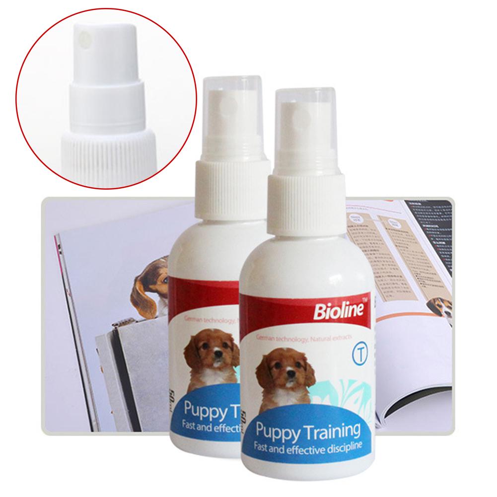 dog discipline spray