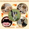 Durable Natural Rubber Indestructible Puzzle Dog Chew Toy Bite Resistant Outdoor Molar Play Toy Perfect for Aggressive Chewers