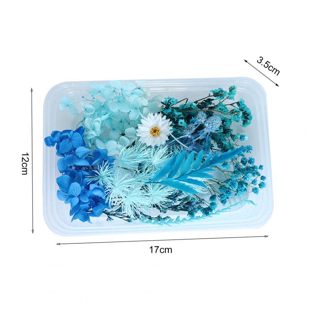 1 Box DIY Aromatherapy Candle Molds Dried Flowers Dry Plants Preserved Flower for Epoxy Resin Casting Mold Crafts Tools