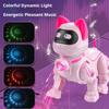 Programmable Remote Control Robot Cat for Kids Interactive Robotic Cat, RC Robot with Touch Sensing, LED Eyes, Dance
