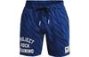 Herrenshorts Project Rock Freizeitshorts Herren