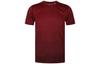 T Shirt Men's Chestnut Red EC1090