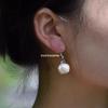 Garlic Earrings Funny Earring Garlic Hook Earring Simulate Vegetable Earrings