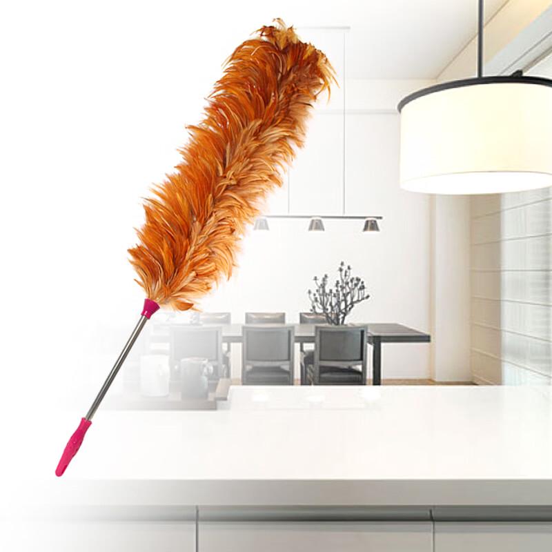 JNL Handmade Feather Duster