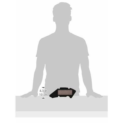 Daytona Motorcycle Air Filter for Address V125 Etc. Increases Air Intake Efficiency, Increases Medium and Low Speed Torque, Dry Type High Performance