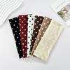 Dot Pattern Yoga Elastic Hair Band, Fashionable Makeup Headband Hair Accessory, Sports and Fitness Sweat-absorbing Headscarf
