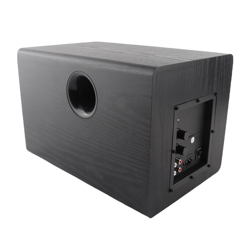 6.5 Inch Powered Subwoofer HiFi 100W High Power Deep Bass Turbocharged Subwoofer Black