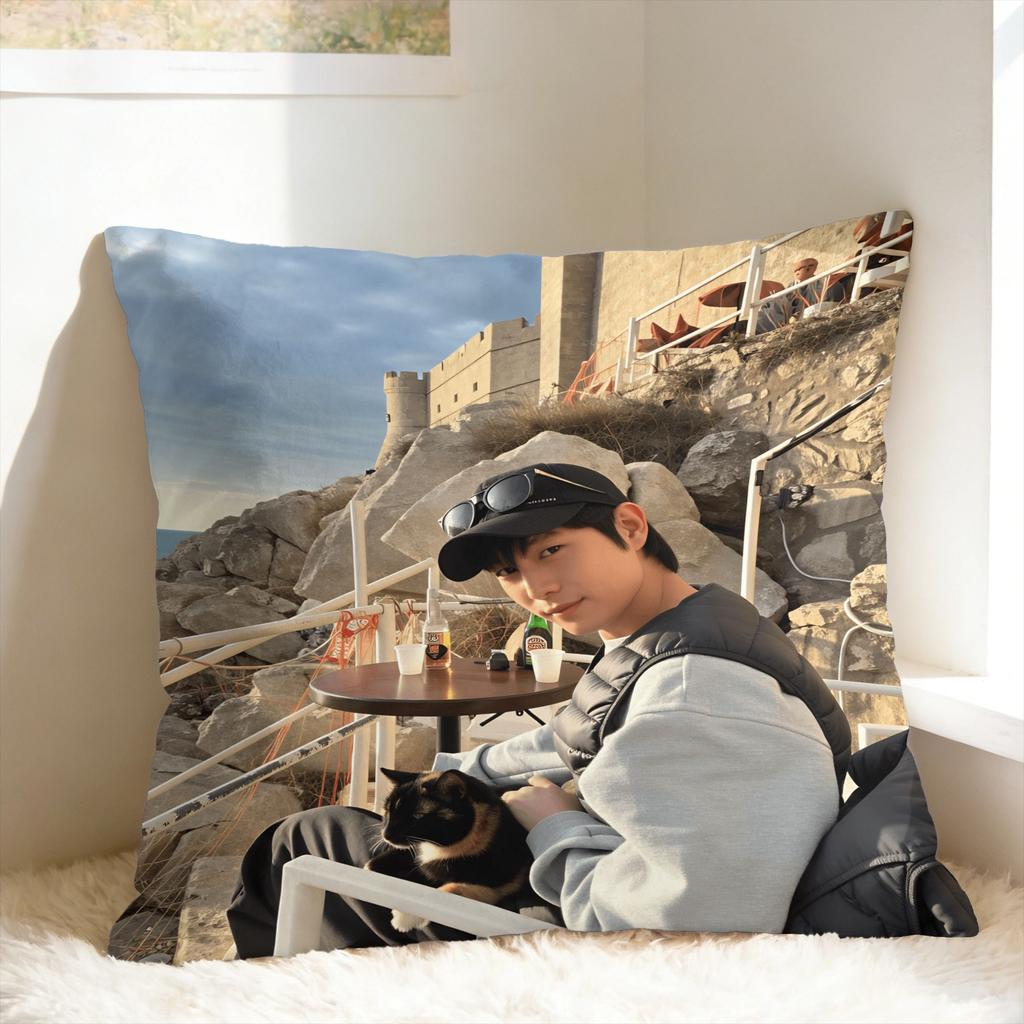 Y-Young-dae Kim Pillow Case Design Pillow Cover For Sofa Bedroom Home Decor Kawaii Pillowcases