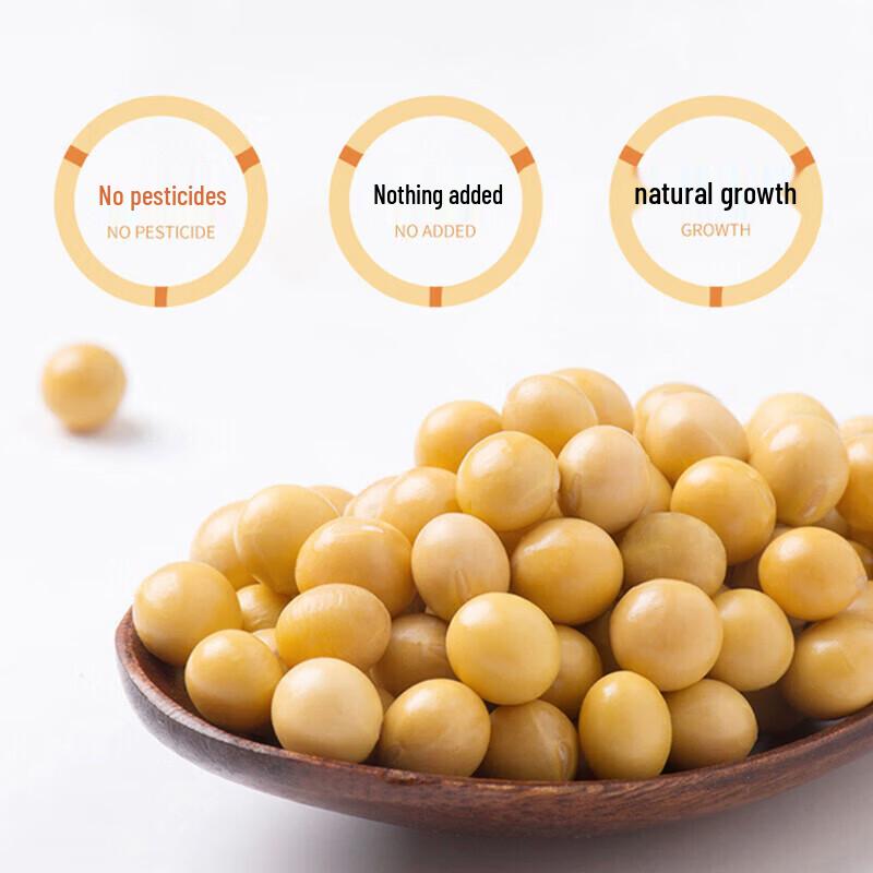 FUANNA All-Season Antibacterial Soy Fiber Blend Quilt