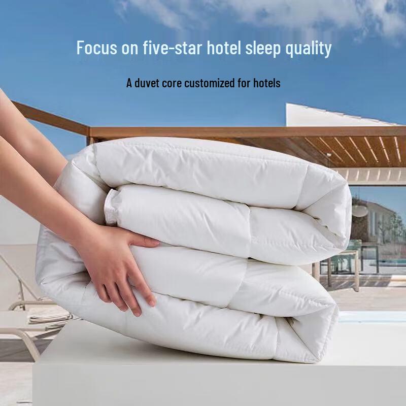 Jungu Hotel Style Thickened All-Season Down Alternative Quilt
