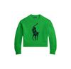 Свитер Polo Ralph Lauren 211A96234003