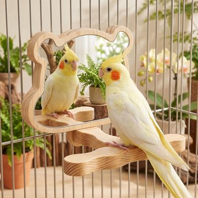 Acrylic Mirror Wood Bird Training Stand Birds Grinding Perch Holder  Small Medium Animals