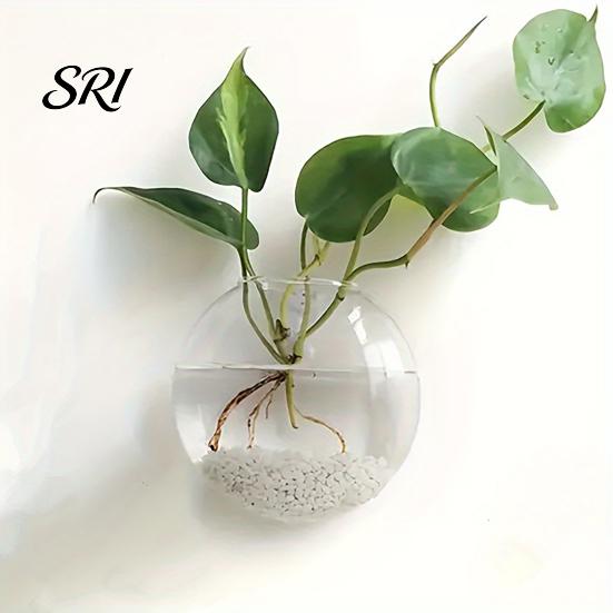 Decorative Wall Planter Hanging Glass Clear Flower Vase for Hydroponics Plants Greenery Home Decor Mount Terrarium Propagation Station Bathroom Office