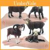 Farm Black Sheep Goat Lamb Model Pvc Black Sheep Lamb Kids Educational Toy For Children