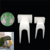 20Pcs Bird Cage Fruit Fork for Budgies Cockatiels Munias Mynas White-Eyes Plastic Pet Supplies Snack Holder for Birds Hamsters