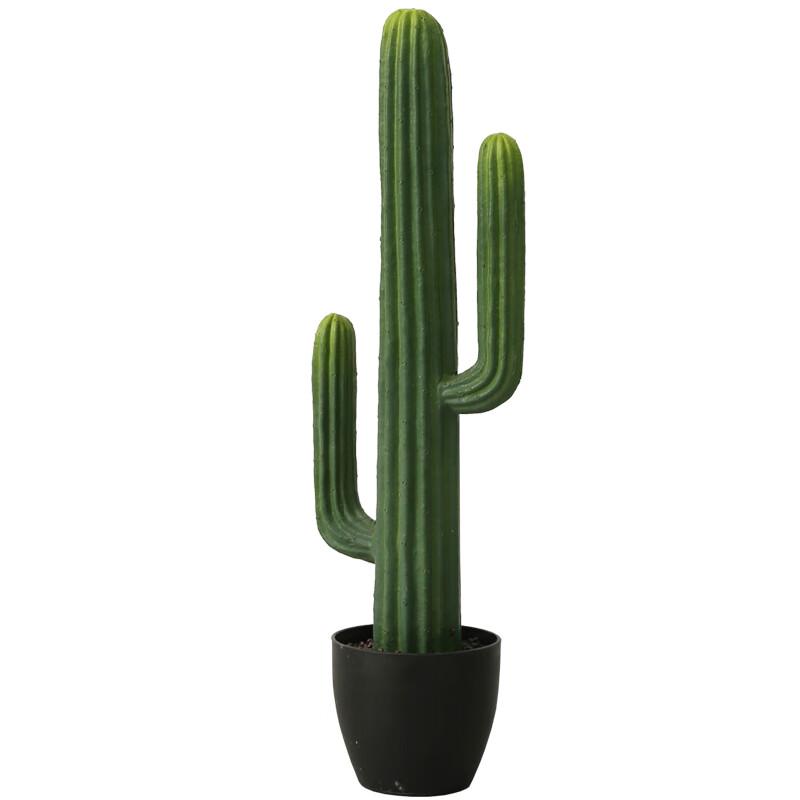 Oshuomai Artificial Cactus Potted Plant