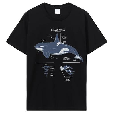 Funny Killer Whale Anatomy Marine Biology Wildlife Beach T Shirt Graphic Tshirt Streetwear Birthday Gift Summer T-shirt Clothing