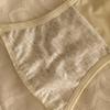 Bowknot Satin Panties Sweet Low Waist Underpants Soft Lace Mesh Briefs  Female