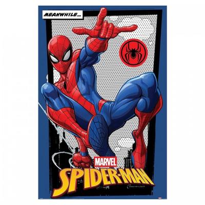 Meanwhile Maxi Poster