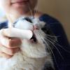 Salviette per la Pulizia dei Denti del Cane Salviette Dentali per Cani Dito 50 Pezzi Rinfrescante del Respiro Delicato Spazzolino per Gatto Cucciolo Toelettatura Sensibile