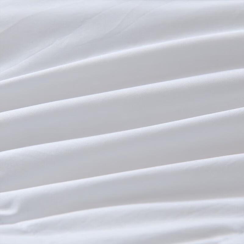 Faunen FN-B6064 Supreme Cotton Goose Down Comforter