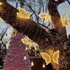 Waterproof LED Butterfly Light 40/60cm LED Simulated Butterfly Decor  Outdoor Garden/Wall Decor