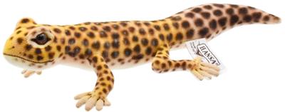 BH8140 HANSA Gecko Leopardo 26