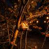Hanging LED Halloween Witch Hat Decoration Lights for Party Indoor Home Decor