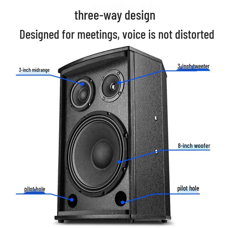 SAST K5V Dual 8-inch Speaker Set with Microphones (CN version)
