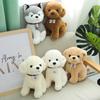 Teddy Dog Plush Toy: Husky Puppy with Nameplate & Dog Claw Machine Accessory