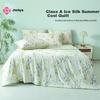 Grace (Grace) Class A Ice Silk Summer Quilt, Cool Silk Air Conditioning Quilt, Machine Washable Thin Blanket, Pothos 150*200cm