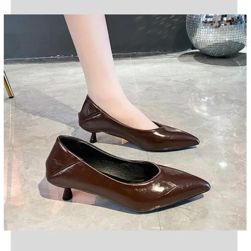 2024 New Women's Boat Shoes Pointed Toe Pumps Kitten Heel Dress Shoes Silver Office Work Shoes for Female Black Spring Autumn