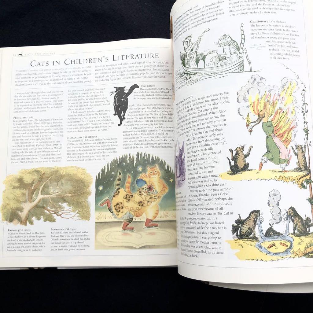 [USED] The New Encyclopedia of the Cat
