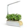 Vaso Hidropônico Ajustável DC5V Máquina Inteligente de Plantio Sem Solo Jardim Interno Sistema de Cultivo Hidropônico Luzes de Crescimento de Plantas