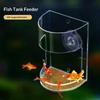 1/3Pcs Floating Food Tray Feeder Aquarium Feeding Ring Fish Tank Station Circle Aquarium Accessory With Suction Cup