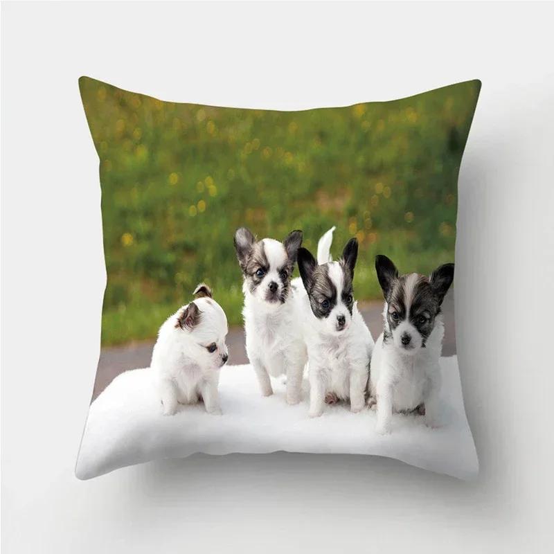 Cuscini decorativi con stampa Pug Dog Federa Fodera per cuscino in poliestere Cuscino decorativo per divano Decorazione del soggiorno Federa