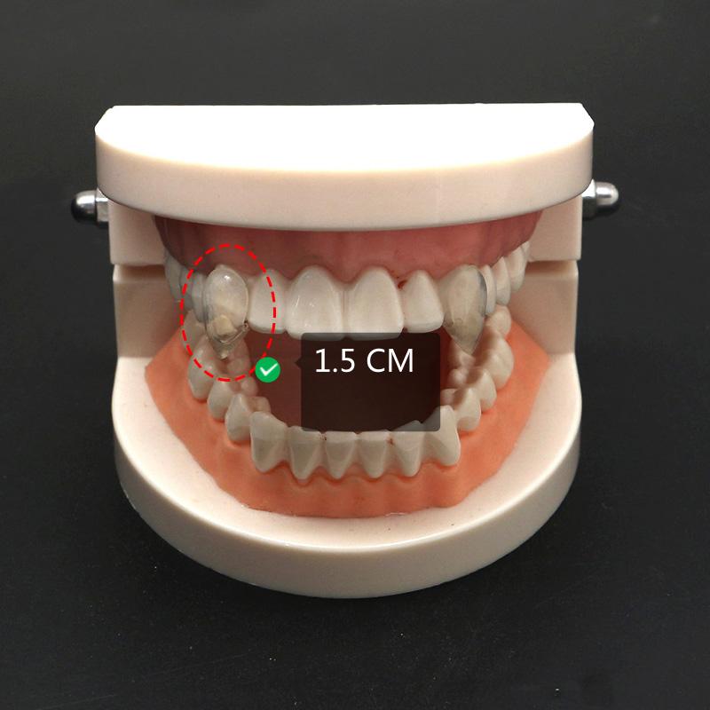1 Paio Denti da Vampiro Zanne Protesi Oggetti di Scena Costume di Halloween Oggetti di Scena Denti Falsi Colla Solida Adesivo per Protesi Decorazione Festa di Halloween