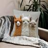 Cute Alpaca Print Throw Pillow Cover 18x18 Inch Soft Farmhouse Decor for Living Room Bedroom Chair Sofa Car Interior Decoration
