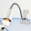 360 Degree Rotation Reptile Heating Light UVA+UVB Lamp Clip Cover New Reptile Lamp  Fish Tank