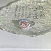Zircon Gift Gold Ring Female Rose Sub Jewelry Electroplating