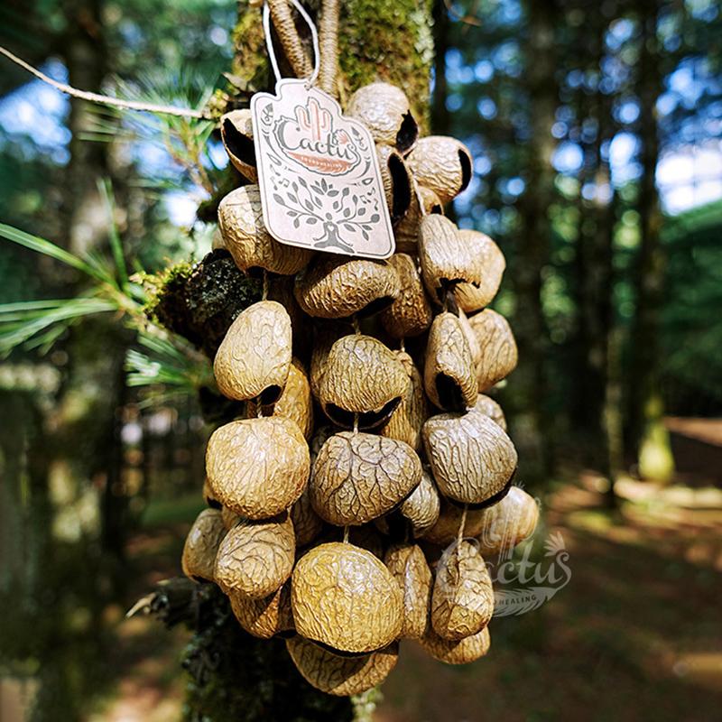 Fruit Shell Bells Outdoor Wind Chimes Hand Cranked String Bell Sound Healing Wind Chime Meditation Yoga Musical Instruments