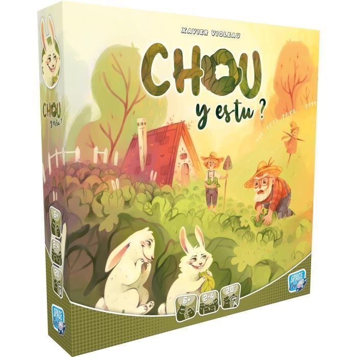 Chou y es tu - Asmodee - Jeu simple d'observation et de strategie - Dès 6 ans