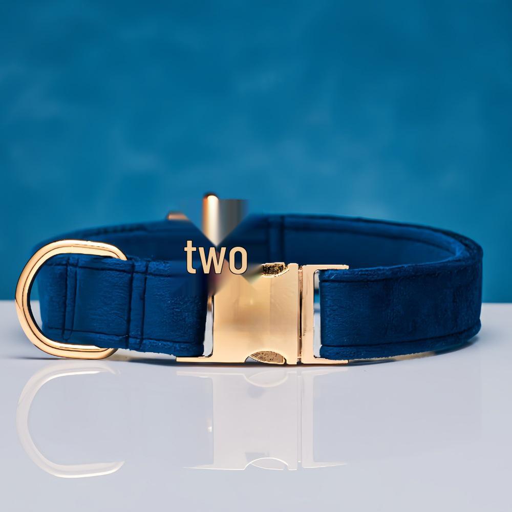 Ensemble collier et laisse pour chien en velours gravé avec boucle métallique réglable
