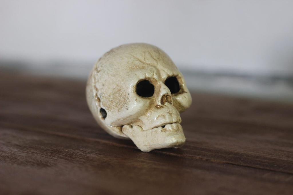 Cast Iron Skull Opener - Practical Gothic Accent